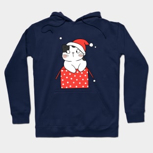 Cat Christmas Box Hoodie